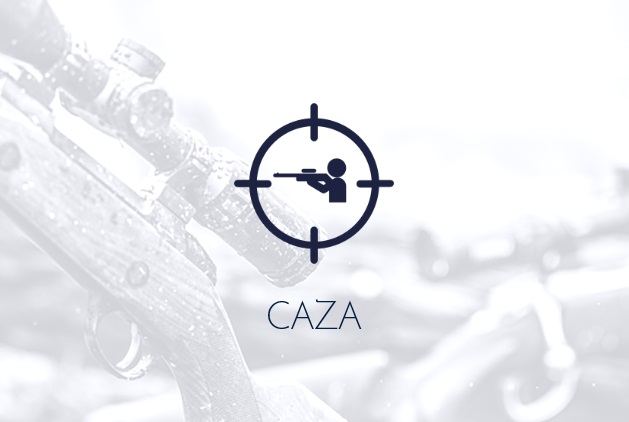caza