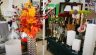 Galería de Imagenes
