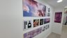 Galería de Imagenes