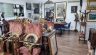 Galería de Imagenes