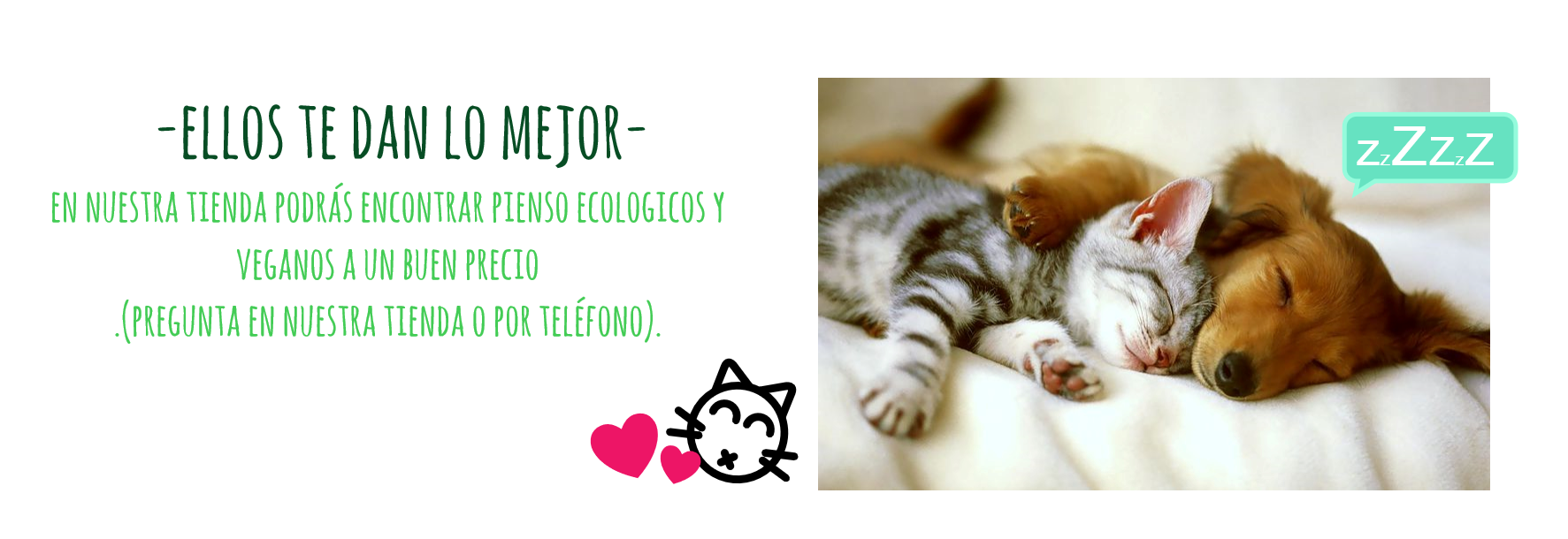 PERROS