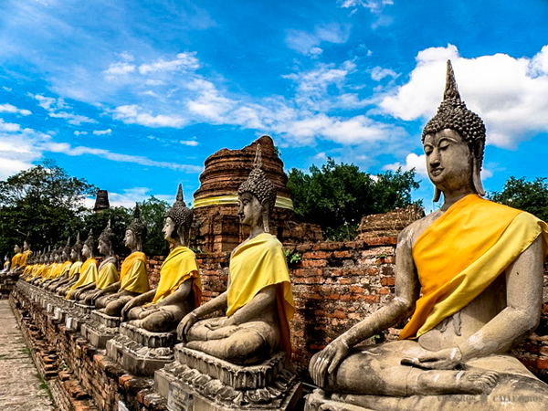 Tailandia diana