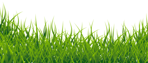 PNGPIX-COM-Grass-PNG-Transparent-Image-500x215