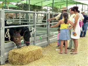 feriaganaderia