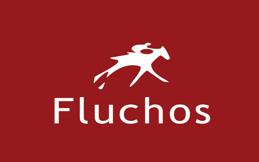 fluchos logo