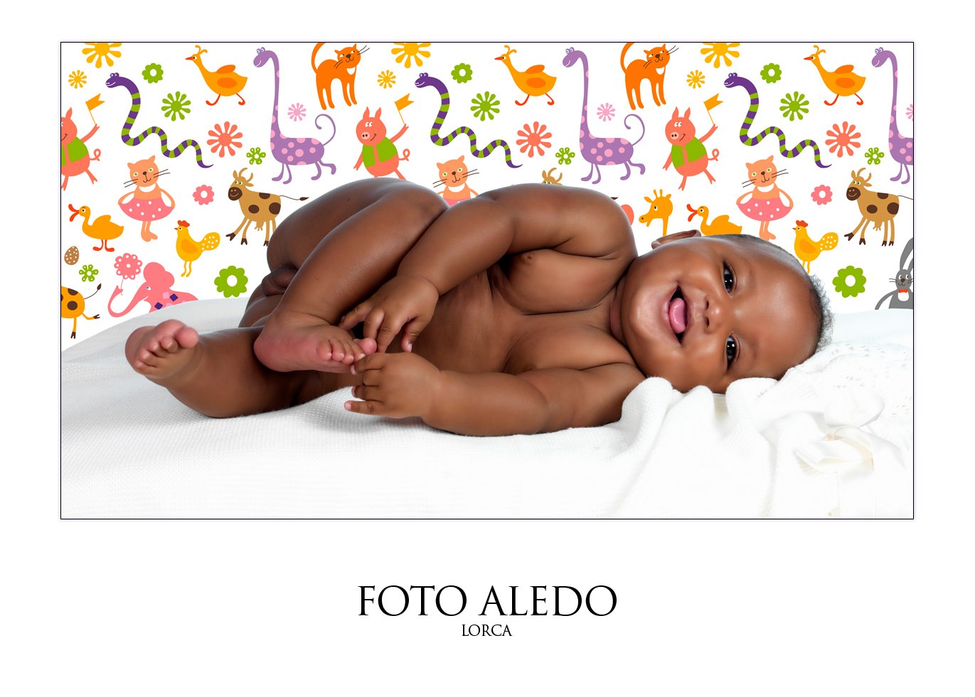 foto aledo9