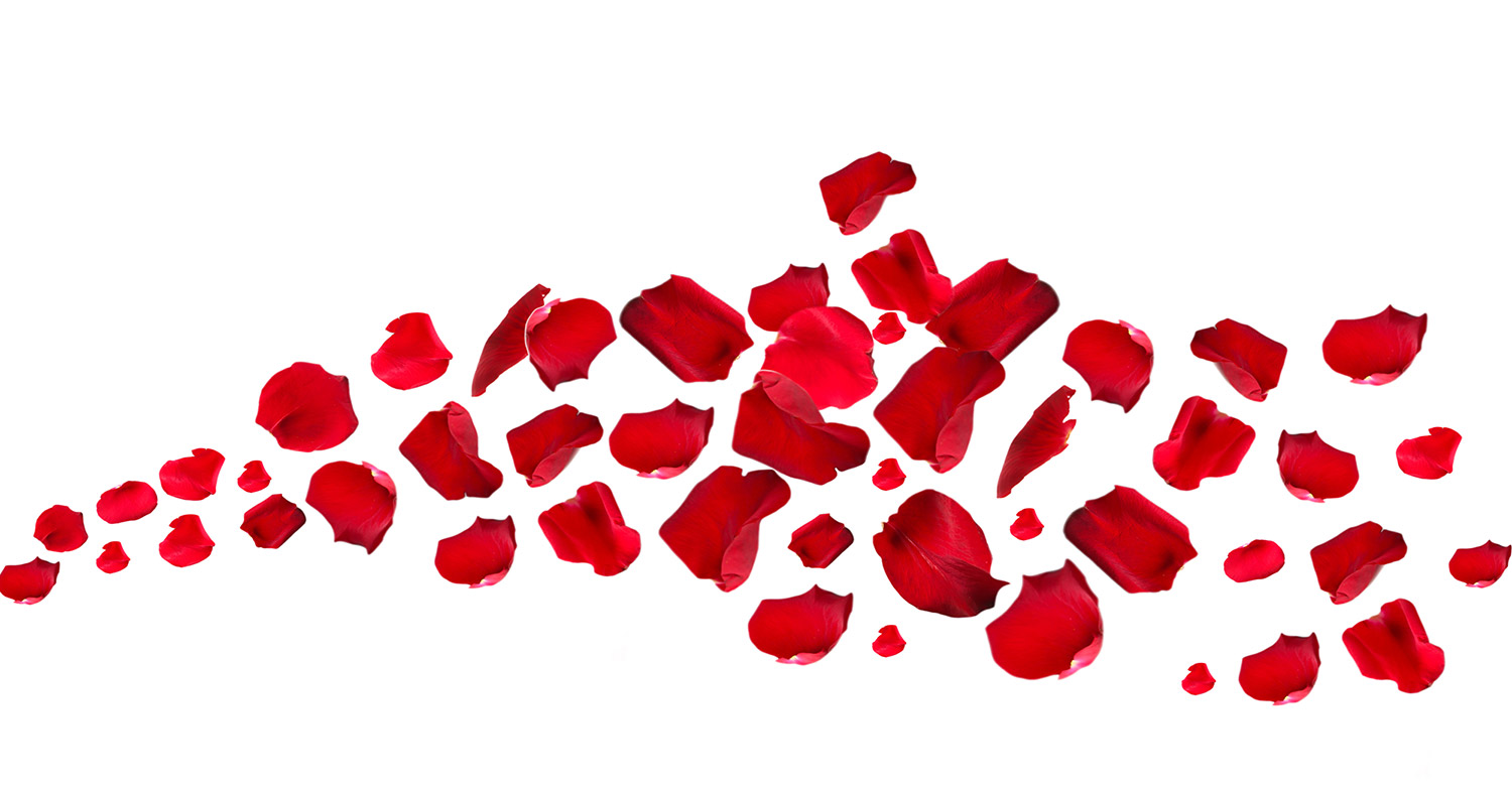 tempus-petals1