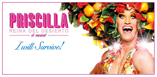 Priscilla-banner