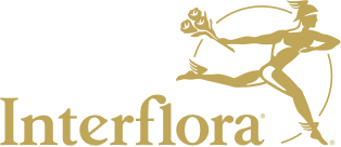 logo-interflora@2x