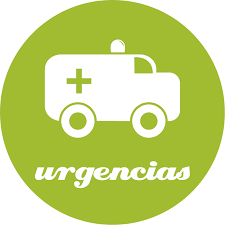 urgencias veterinarias