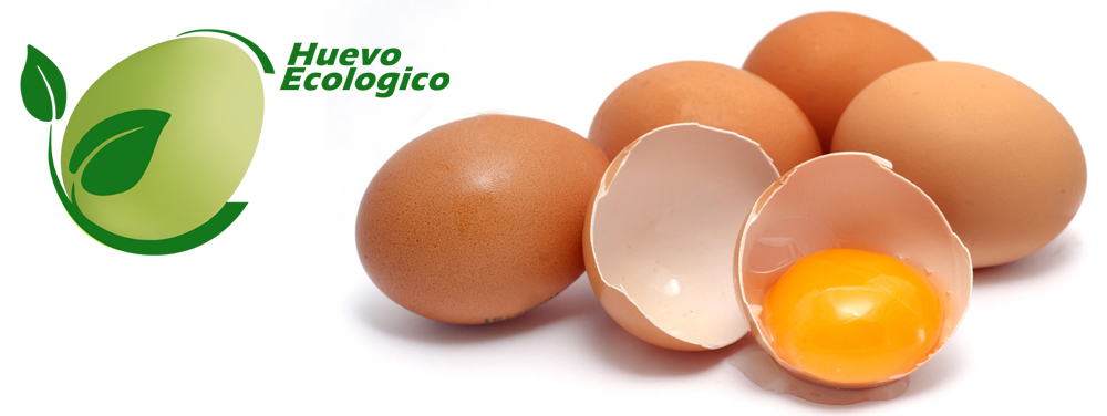 Huevos ecologicos dim
