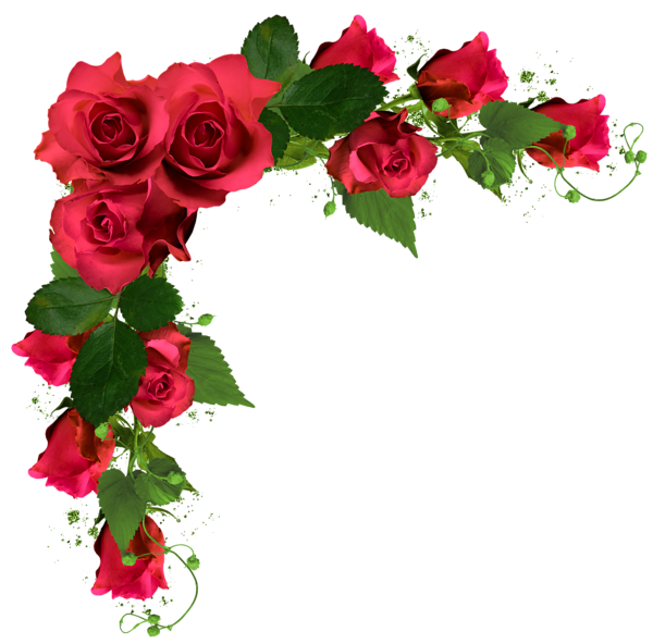 la flor de la toscana