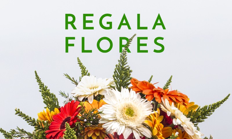 regala flores