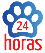 24 horas