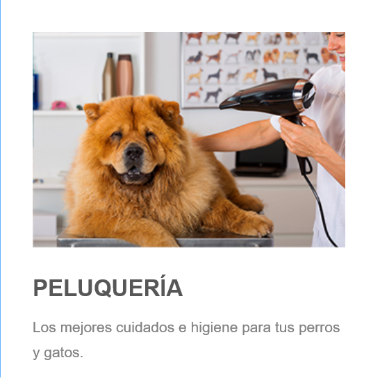 peluqueria