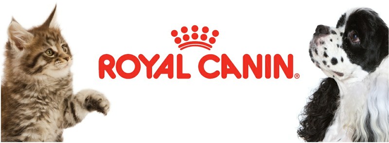 royal canin nutricion