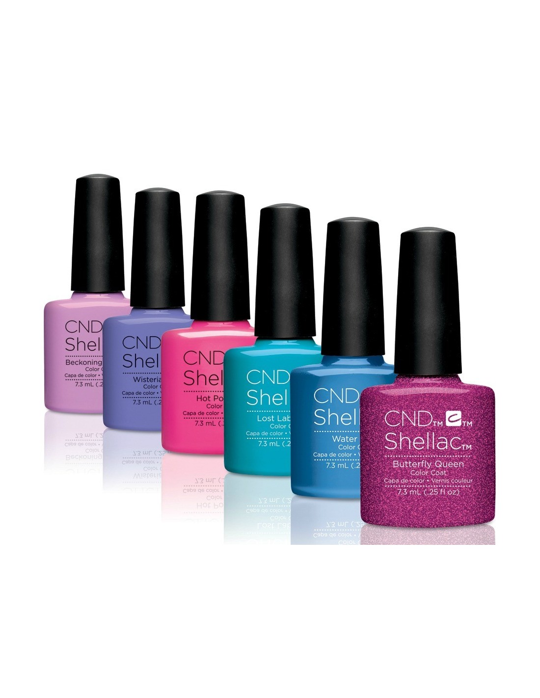 cnd-shellac