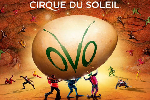 circque5