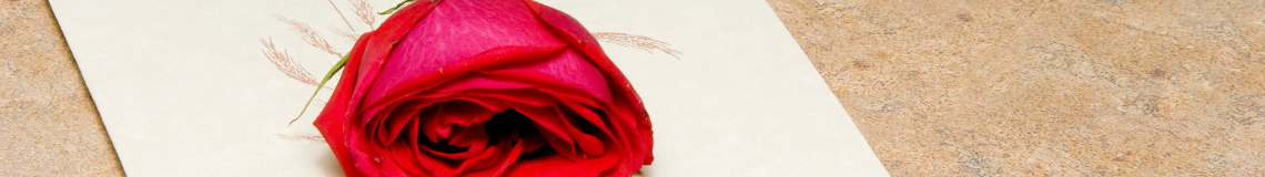A single rose on a funeral bulletin.