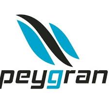 PEYGRAN LOGO