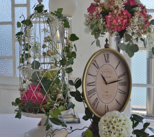 DSC_0128-539x480