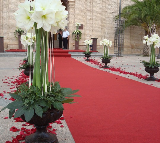 Los-Jeronimos_-539x480