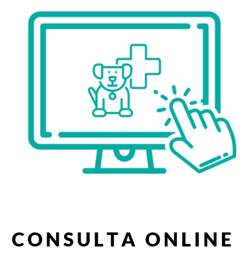 consulta online