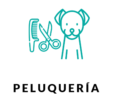 peluqueria