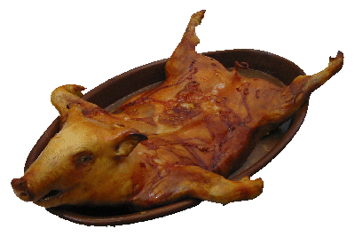 Cochinillo11