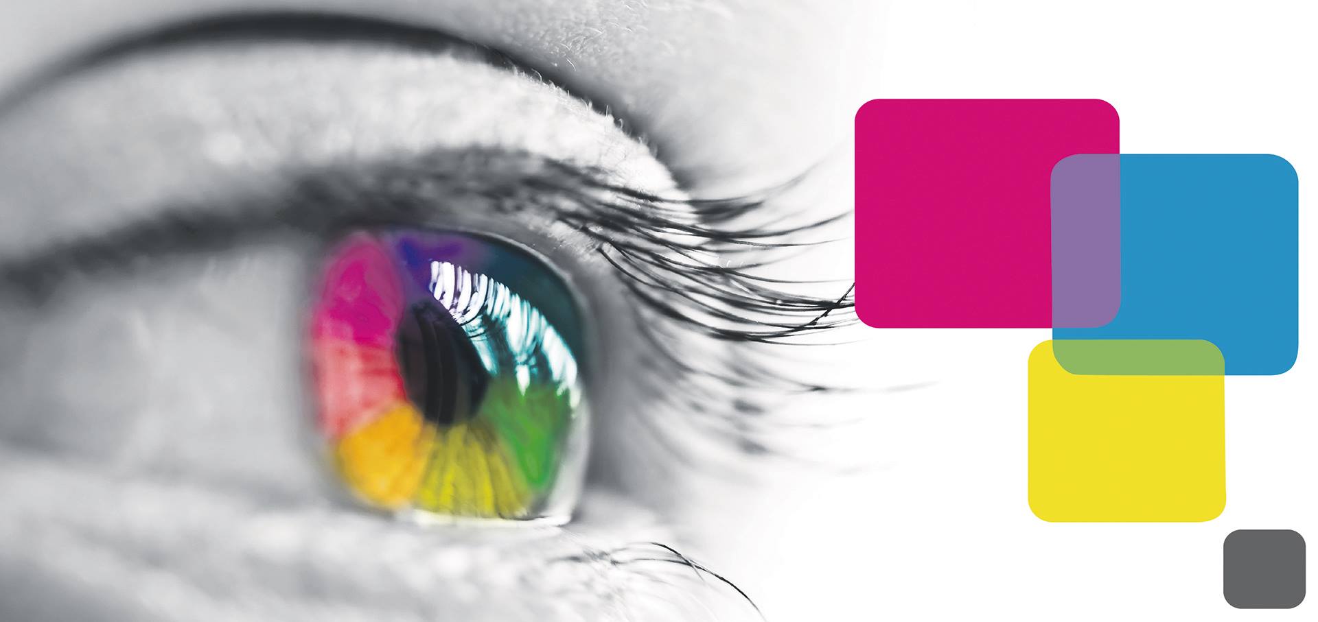 ojo logo