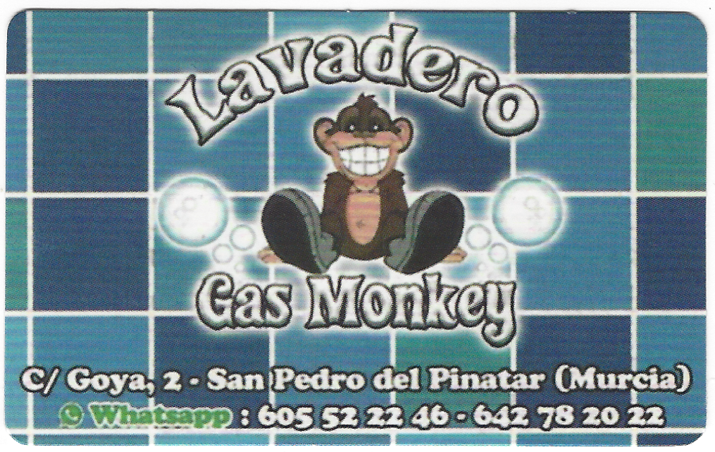 LOGO LAVADERO