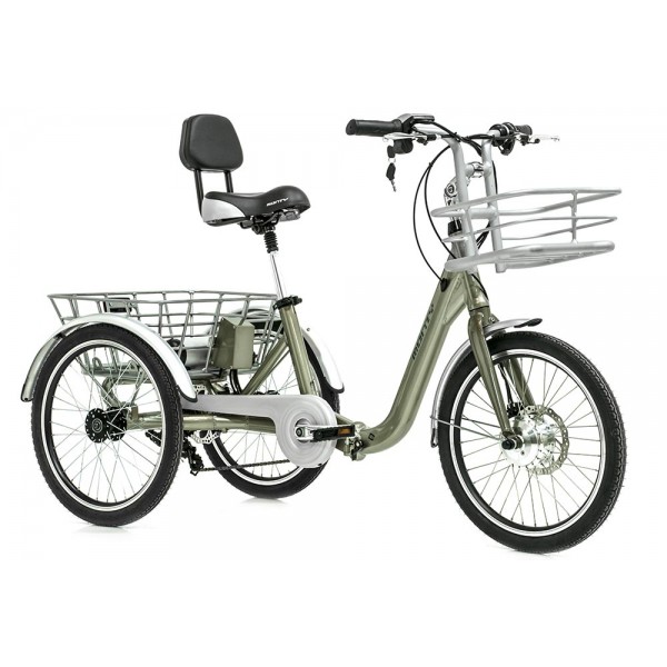 e132_champagne_delantero-600x600