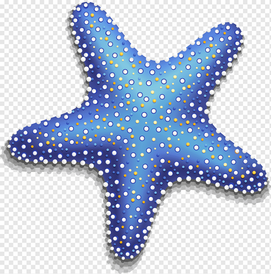 blue-stestrella de mar